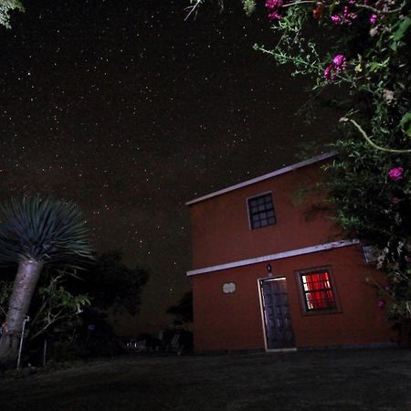 Bodega Goyo Puntallana Exterior foto