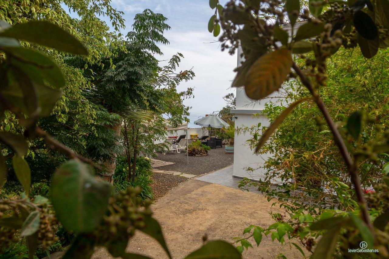 Bodega Goyo Puntallana Exterior foto